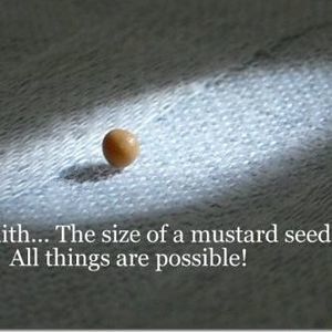 Meet your Posher, Debby